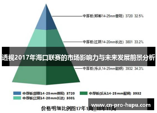 透视2017年海口联赛的市场影响力与未来发展前景分析 透视2017年海口联赛的市场影响力与未来发展前景分析