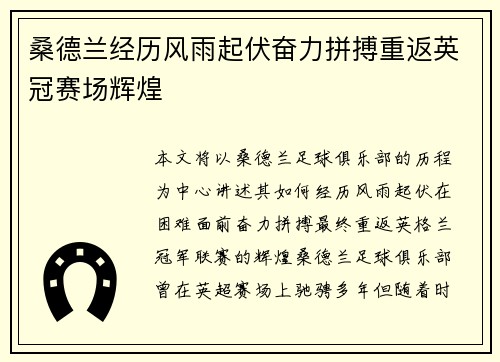 桑德兰经历风雨起伏奋力拼搏重返英冠赛场辉煌